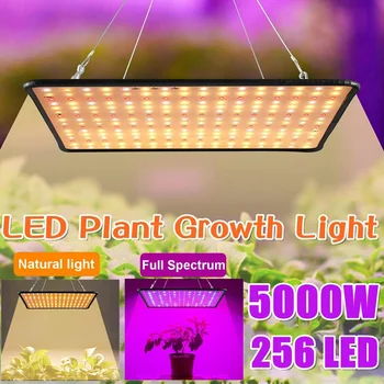 256 светодиодов Grow Light Светодиодная лампа полного спектра 5000 Вт Светодиодная лампа для растений Теплицы Внутренняя Фито Лампа для выращивания Палатки US EU AU Plug