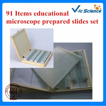 91 НАБОР подготовленных слайдов для образовательного микроскопа для старших классов средней школы